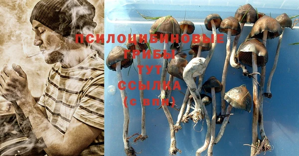 ешки Медвежьегорск