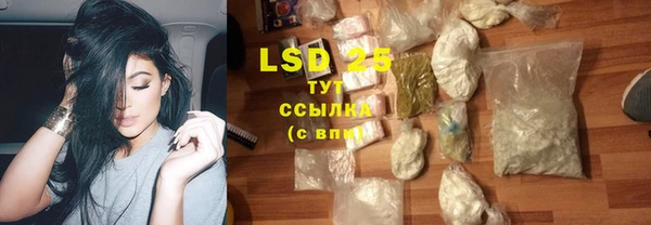 сатива Бронницы
