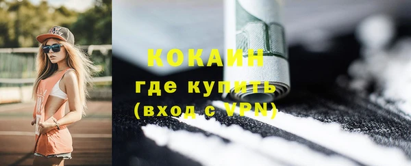 сатива Бронницы