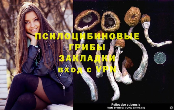 сатива Бронницы