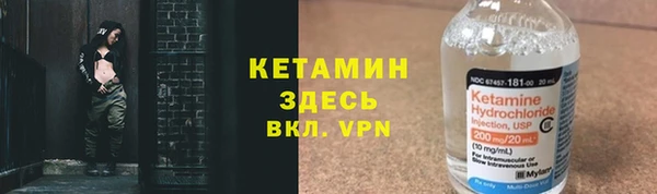 сатива Бронницы