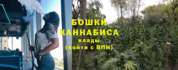 сатива Бронницы