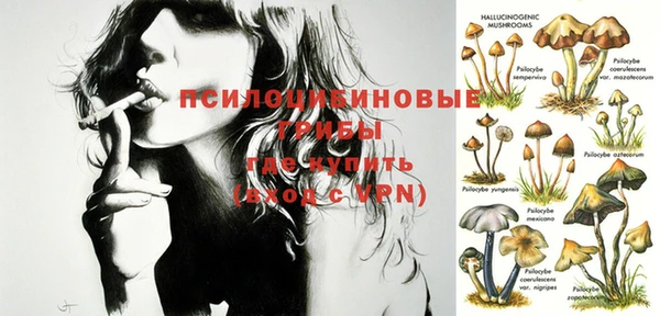сатива Бронницы