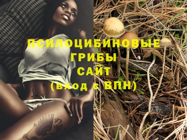 2c-b Бугульма