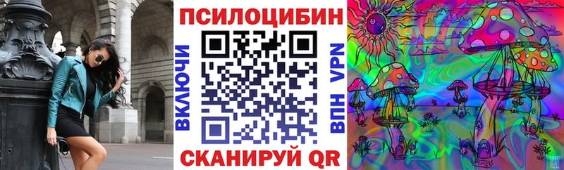 Купить закладки  Мценск  Галлюциногенные грибы мицелий 